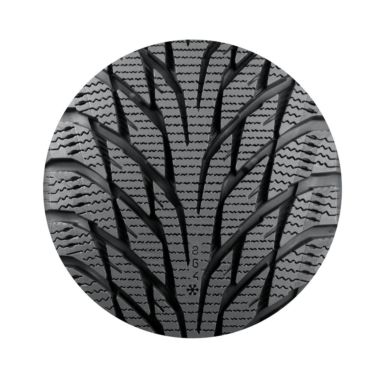 NOKIAN HAKKAPELIITTA R2 195/65R15 95R XL