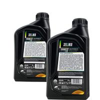 Selenia Multipower C3 5W-30 2x1 Liter