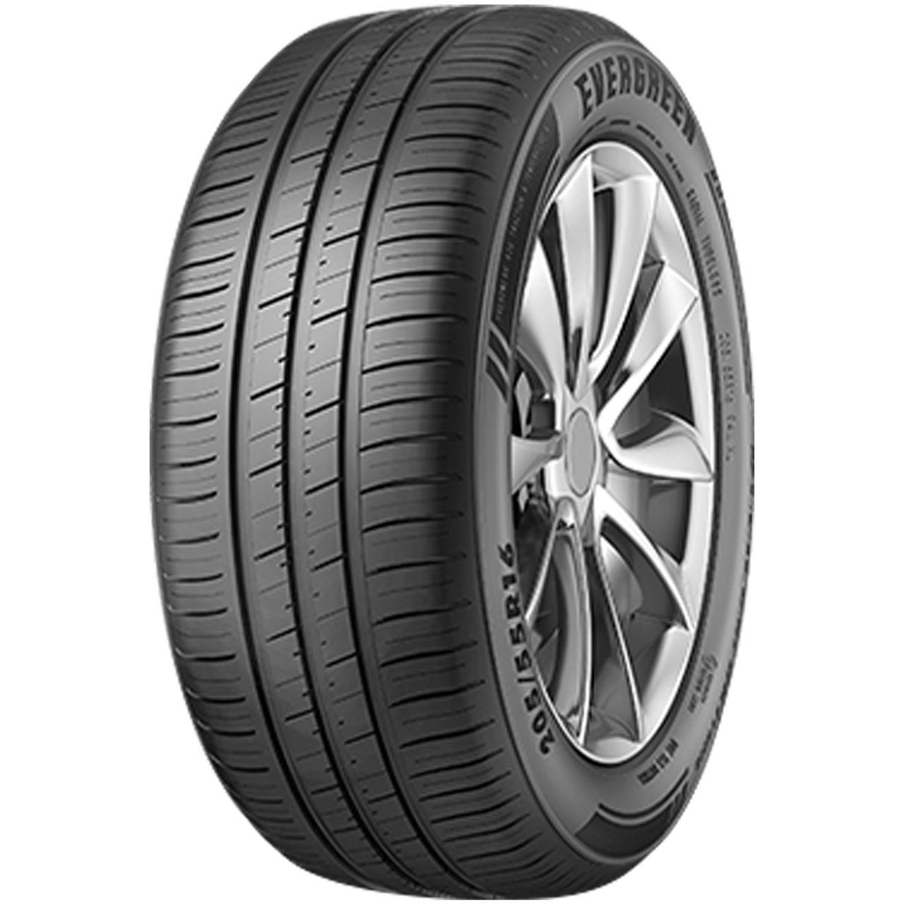 EVERGREEN DYNACOMFORT EH228 195/65R15 91V BSW