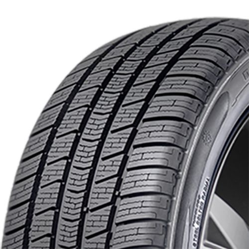 RADAR DIMAX 4 SEASON 205/55R17 95V