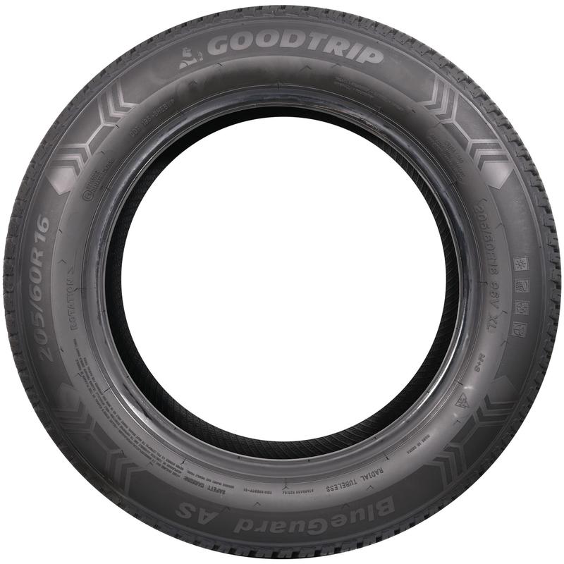GOODTRIP BLUEGUARD AS 195/65R15 91H BSW