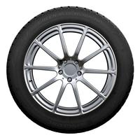 LINGLONG GREEN-MAX WINTER HP 205/55R16 94H XL MFS BSW