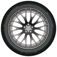 GITI GITIWINTER W2 205/60R16 96H XL BSW