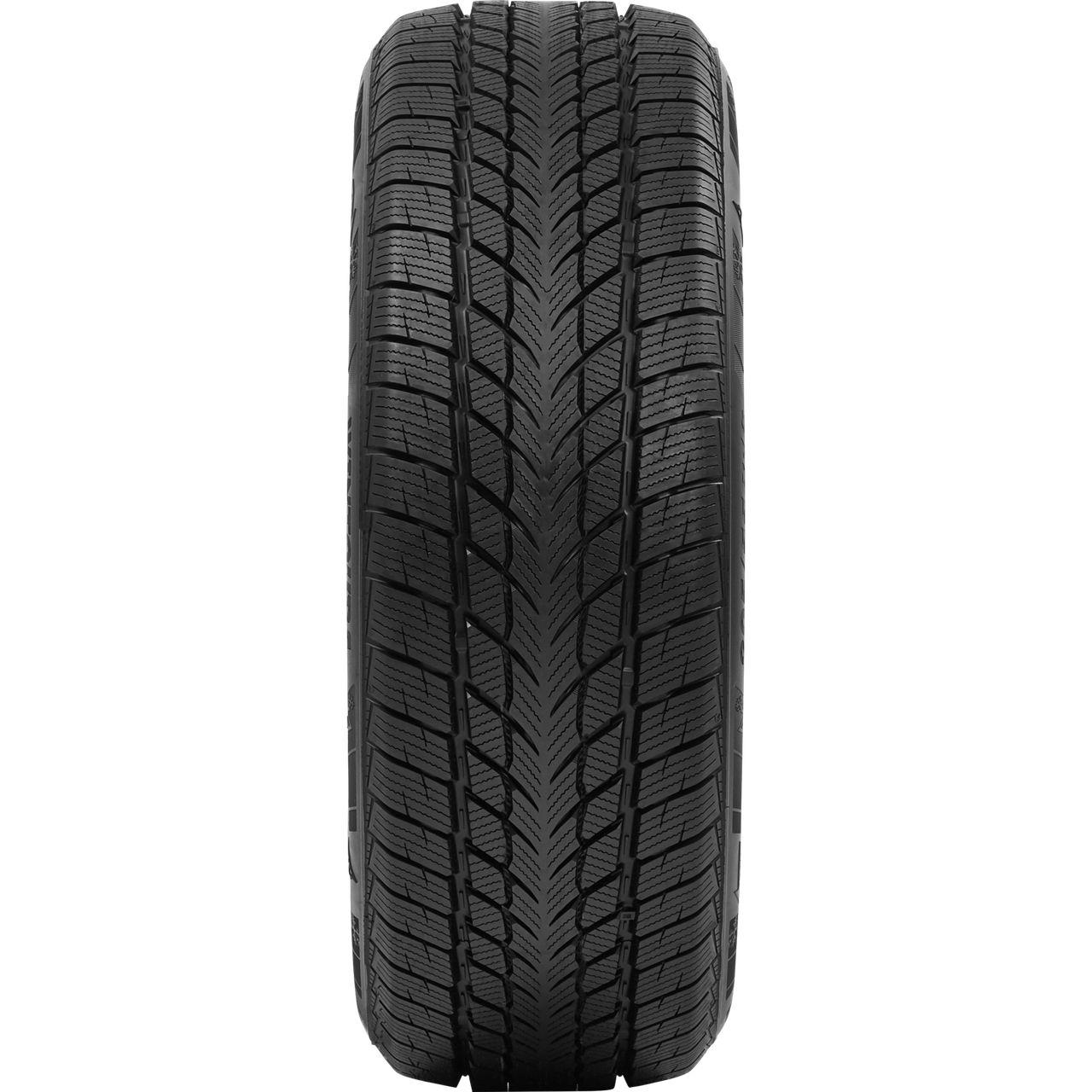 DAVANTI WINTOURA 195/65R15 91H BSW