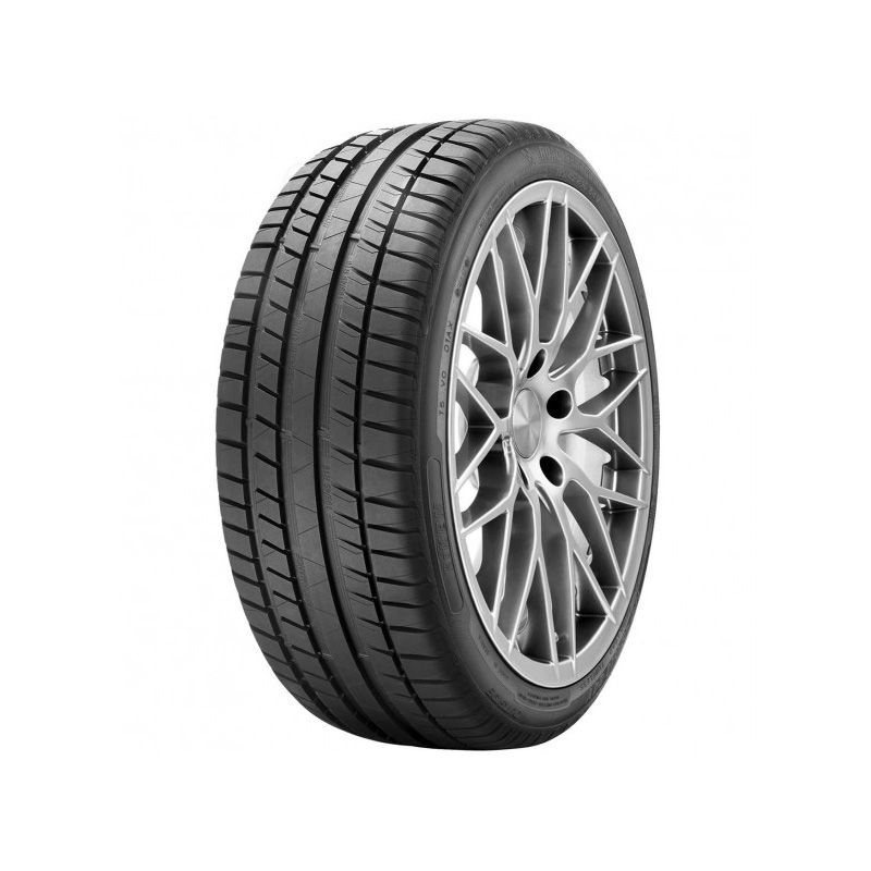 RIKEN RIKEN SNOW 225/45R17 91H BSW