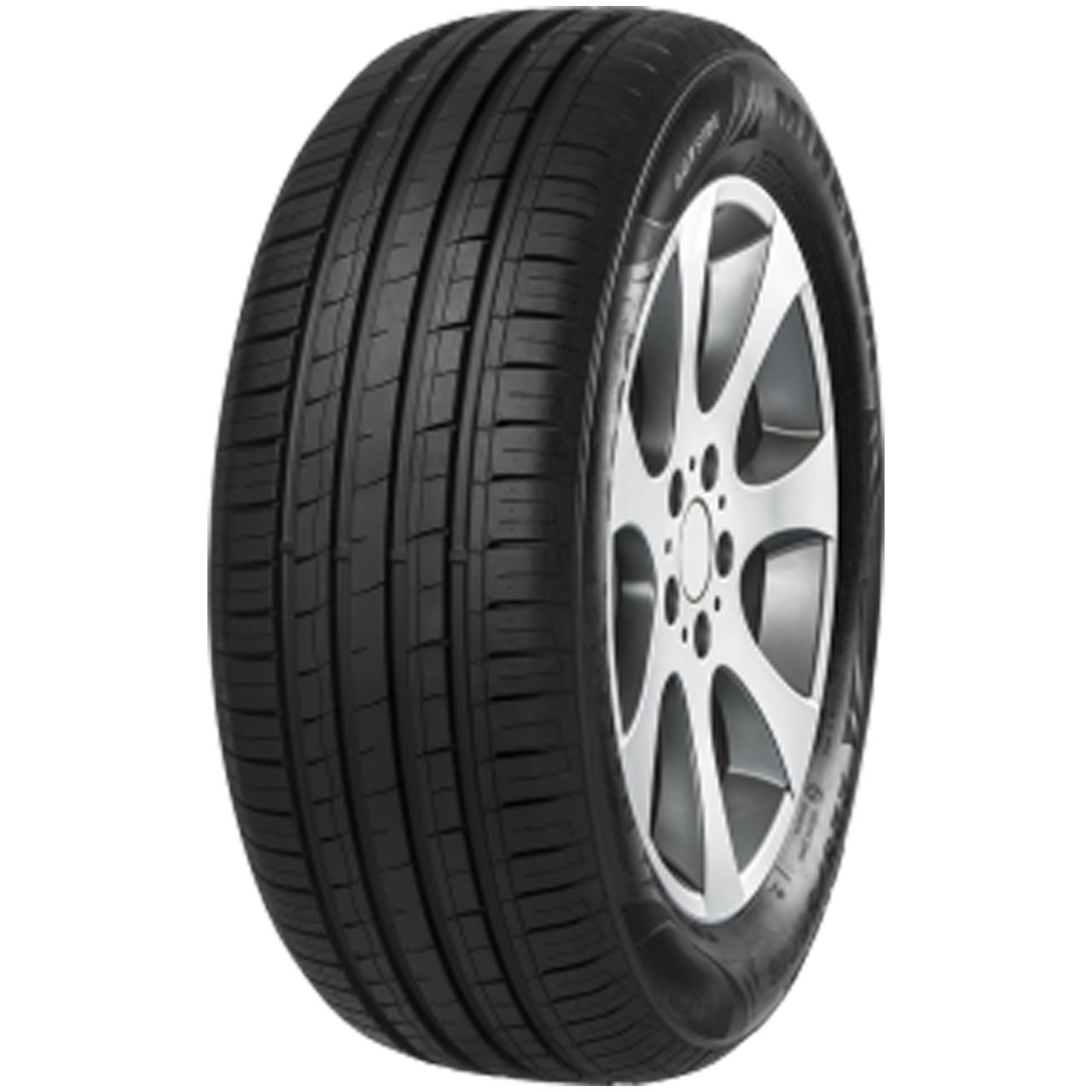 MINERVA F209 195/55R16 87H
