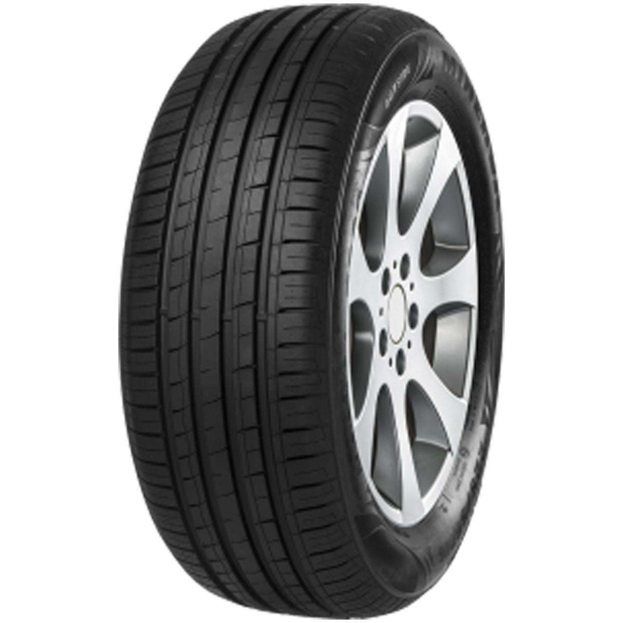MINERVA F209 205/65R15 94H