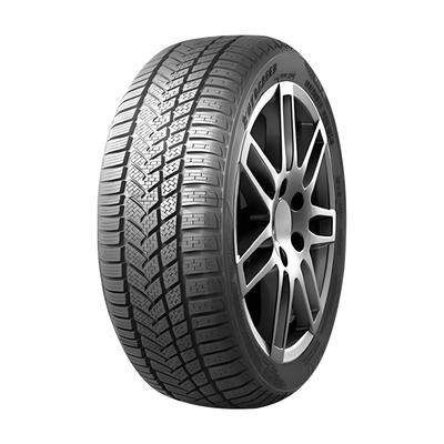 AUTOGREEN WINTER-MAX A1 WL5 205/55R16 91H BSW
