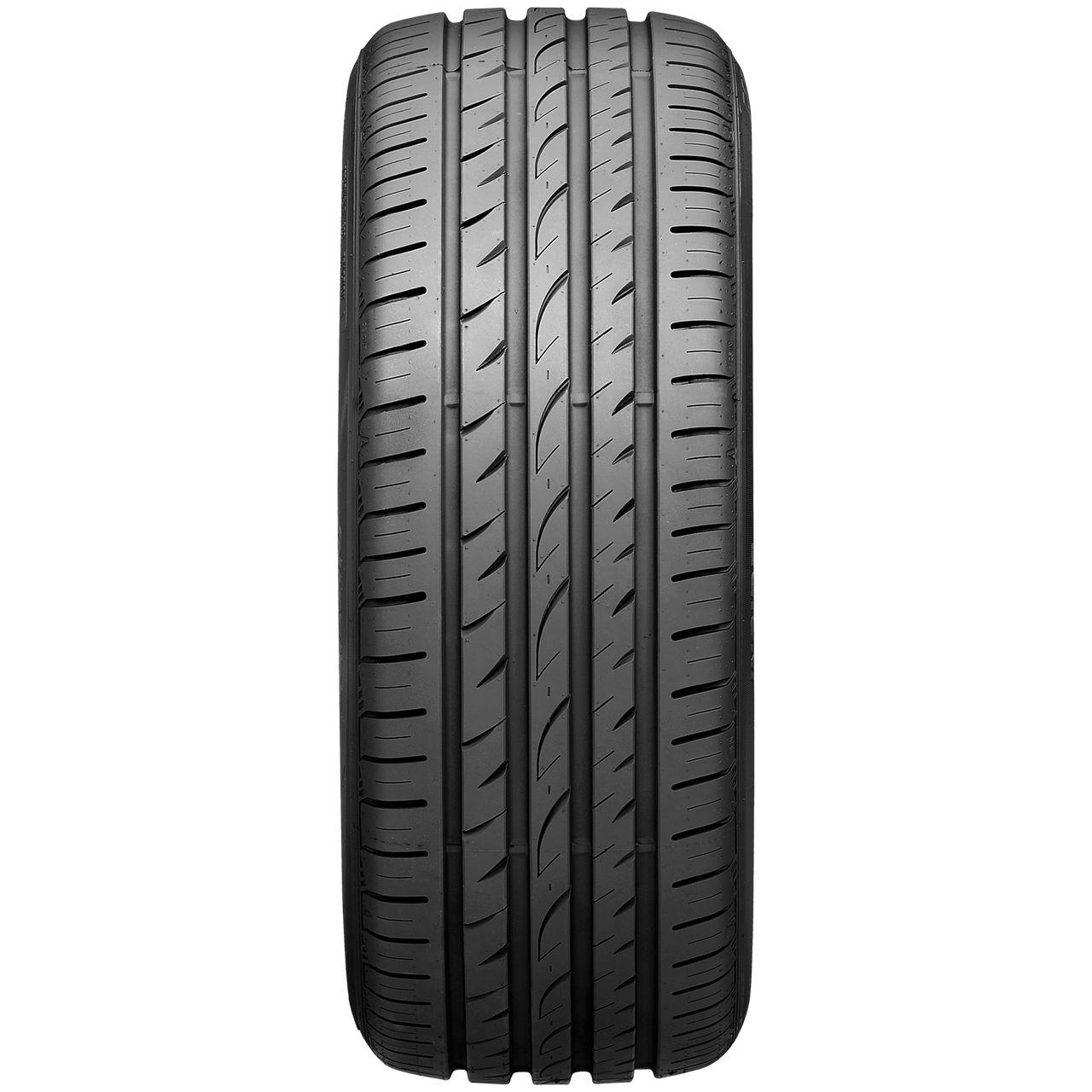 ROADSTONE EUROVIS SPORT 04 195/55R15 85V BSW