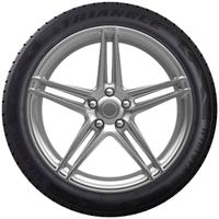 TRIANGLE WINTERX TW401 185/55R15 86H XL BSW