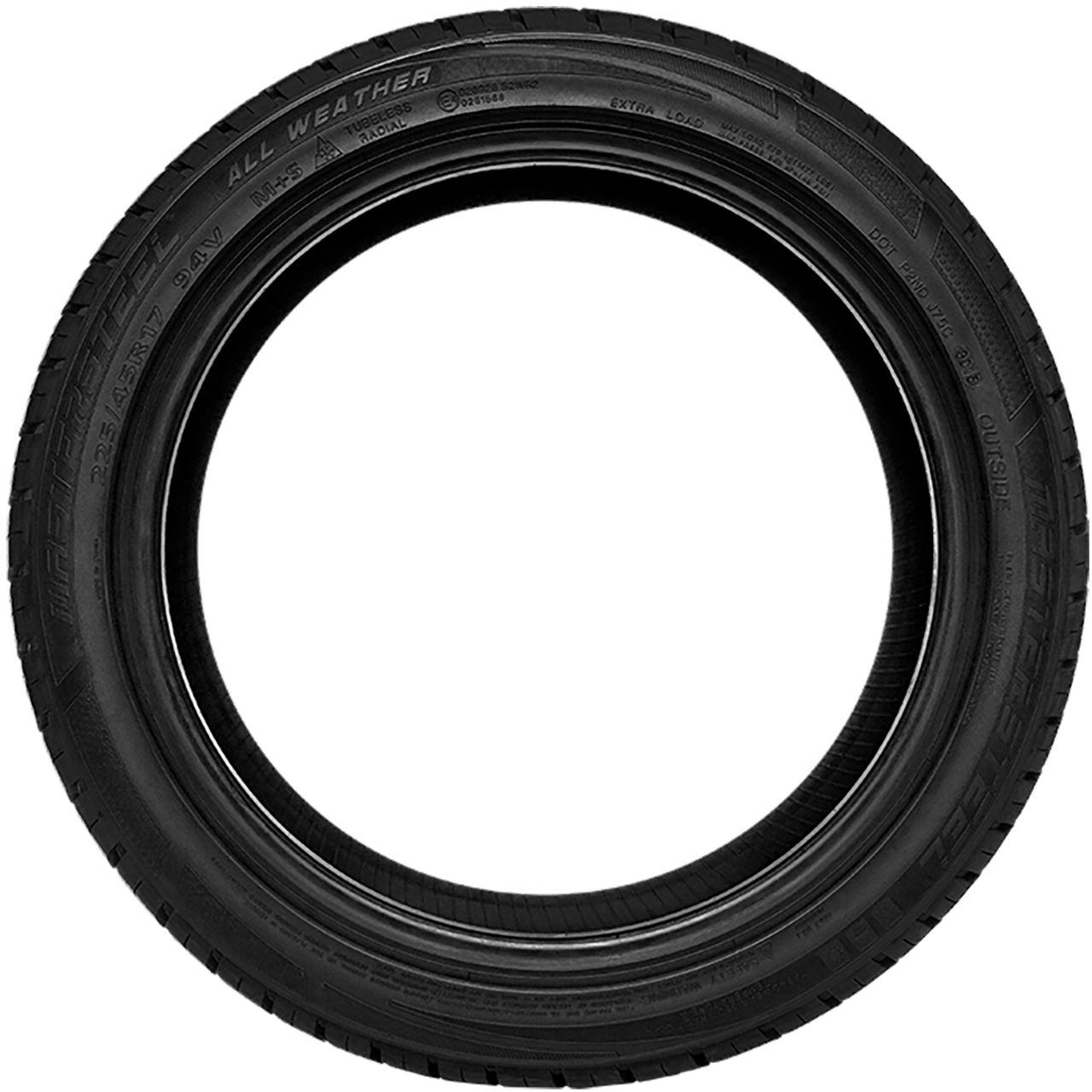 MASTERSTEEL ALL WEATHER 215/60R17 100V