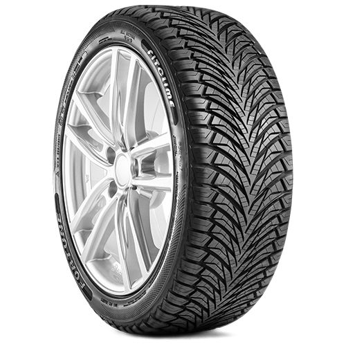 FORTUNE FITCLIME FSR-401 205/60R16 96V BSW