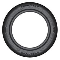 GOODYEAR EFFICIENTGRIP PERFORMANCE 2 205/55R16 91V