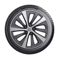 AUSTONE FIXCLIME SP-401 255/55R18 109W XL BSW